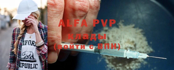 твердый Вяземский