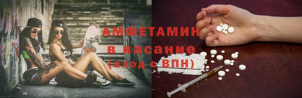твердый Вяземский