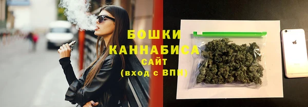 твердый Вяземский
