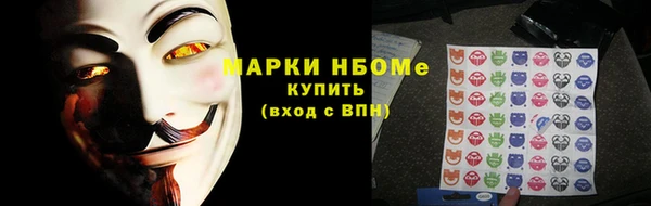 твердый Вяземский
