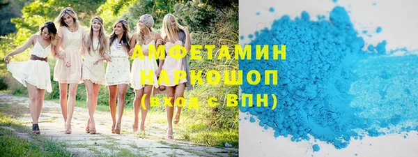 твердый Вяземский
