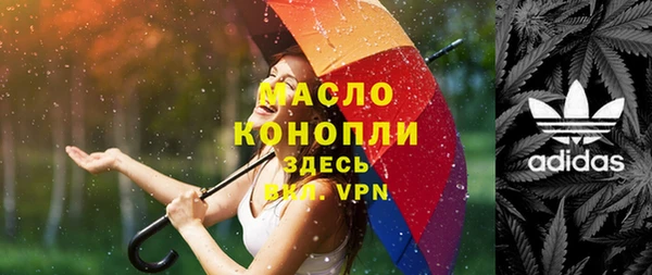 твердый Вяземский