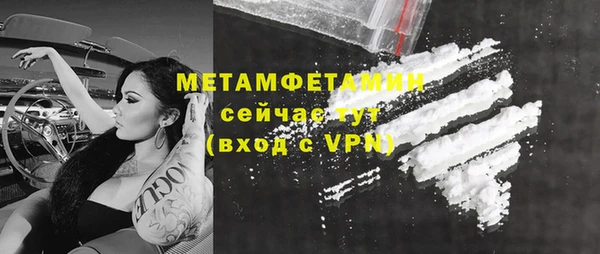 твердый Вяземский