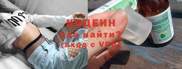твердый Вяземский