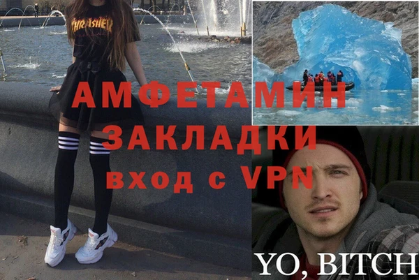 твердый Вяземский